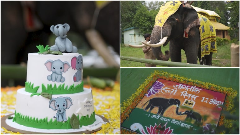 विश्व हाथी दिवस के मौके पर धूमधाम से मनाया गया भीमा-सुब्रह्मण्यम का जन्मदिन, वायरल हुईं केक की तस्वीरें