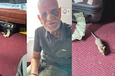 ऊना-इंदौर एक्सप्रेस के फर्स्ट AC कोच में चूहे ने बुजुर्ग की नाक कुतरी, शिकायत के बाद भी रेलवे ने की अनदेखी