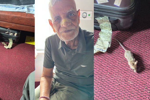 ऊना-इंदौर एक्सप्रेस के फर्स्ट AC कोच में चूहे ने बुजुर्ग की नाक कुतरी, शिकायत के बाद भी रेलवे ने की अनदेखी