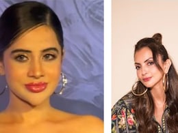 Seema Sajdeh To Uorfi Javed, Impact Of Multiple Cosmetic Procedures Explained