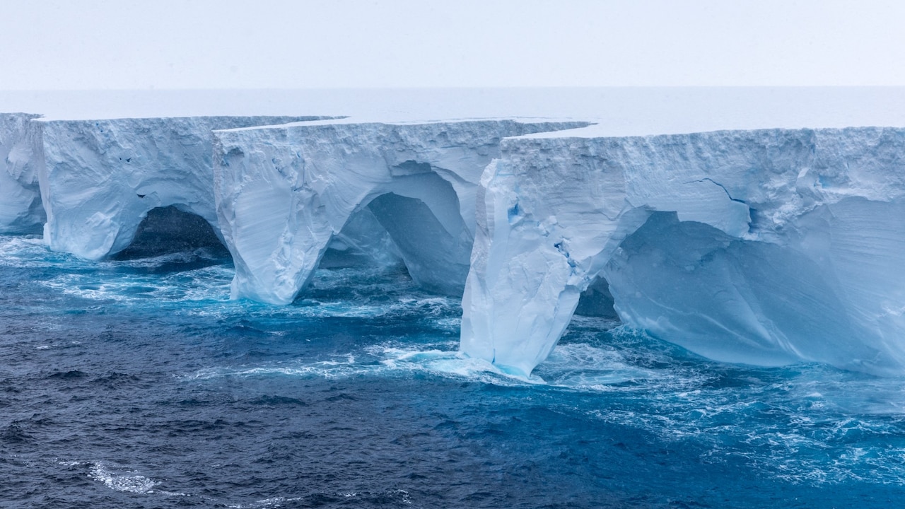 A23a iceberg seen in the waters of The Southern Ocean off Antarctica in January 2024 A23a iceberg seen in the waters of The Southern Ocean off Antarctica in January 2024