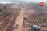 महज 30 दिन में लगा दिए 16 लाख पौधे! अब हरियाली अमावस्या पर रिकॉर्ड पौधरोपण की तैयारी, मिसाल बनेगा खरगोन