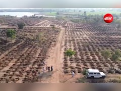 महज 30 दिन में लगा दिए 16 लाख पौधे! अब हरियाली अमावस्या पर रिकॉर्ड पौधरोपण की तैयारी, मिसाल बनेगा खरगोन