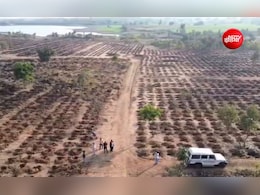महज 30 दिन में लगा दिए 16 लाख पौधे! अब हरियाली अमावस्या पर रिकॉर्ड पौधरोपण की तैयारी, मिसाल बनेगा खरगोन