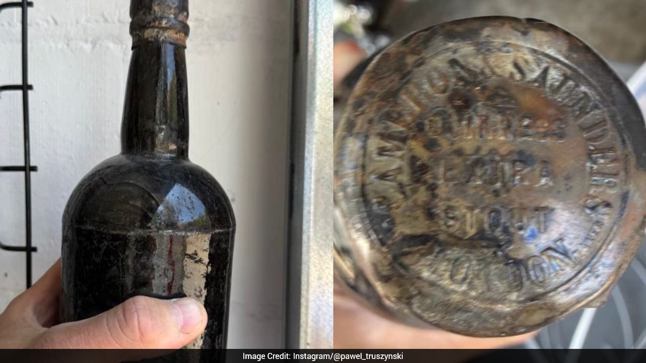 1864 Guinness shipwreck discovery