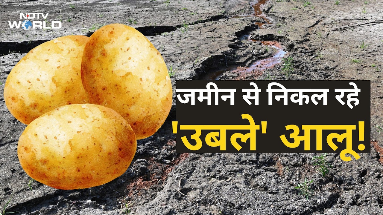 इस देश में खेत की मिट्टी से निकल रहे 'उबले' आलू, किसान बोल रहे जमीन भट्टी बन गई