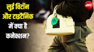 लुई विटॉन का सबसे सस्ता बैग भी आता है बहुत महंगा... जानें- कैसे 16 साल के बेघर लड़के ने बनाया इतना बड़ा ब्रांड