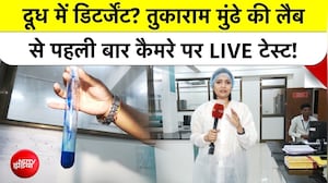 FDA लैब में कैसे होता है टेस्ट, किन चीजों में सबसे ज्यादा मिलावट?