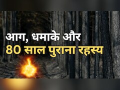 जंगल की आग में सुनाई दिए धमाके, बाद में पता चला- जमीन में दबे थे दूसरे विश्व युद्ध के हथियार