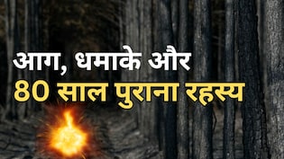 जंगल की आग में सुनाई दिए धमाके, बाद में पता चला- जमीन में दबे थे दूसरे विश्व युद्ध के हथियार