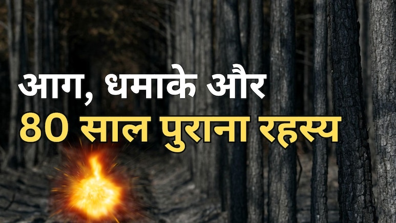 जंगल की आग में सुनाई दिए धमाके, बाद में पता चला- जमीन में दबे थे दूसरे विश्व युद्ध के हथियार