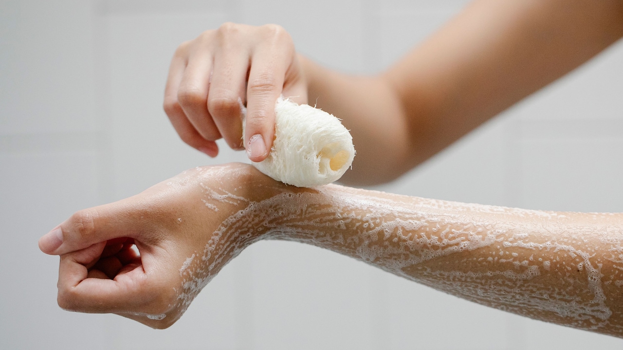 Top 5 Loofahs Under ₹500 For A Refreshing Bath Experience Top 5 Loofahs Under ₹500 For A Refreshing Bath Experience