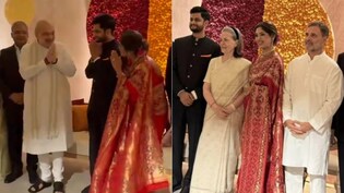 Amit Shah, Rahul Gandhi In One Frame: Rare Political Sight At Wedding Reception