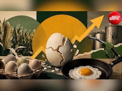 अंडे पर भी महंगाई का डंडा, 40% तक बढ़ गए दाम, पेट्रोल वाला कारण कर देगा हैरान