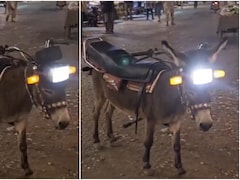 हर्ष गोयनका ने शेयर की 'घास से चलने वाली अनोखी बाइक', फीचर्स सुनकर रोक नहीं पाएंगे अपनी हंसी