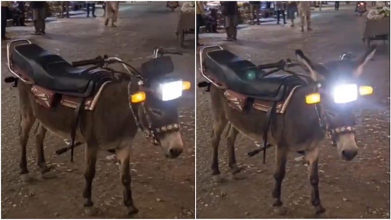 हर्ष गोयनका ने शेयर की 'घास से चलने वाली अनोखी बाइक', फीचर्स सुनकर रोक नहीं पाएंगे अपनी हंसी
