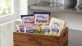 Milky Mist Share Price Hits 10% Upper Circuit After Strong Listing. Should Investors Buy, Sell Or Hold?