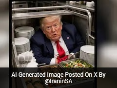 'Will Hide In Trash Can': Iran Mocks Trump's Plane Switch With Memes