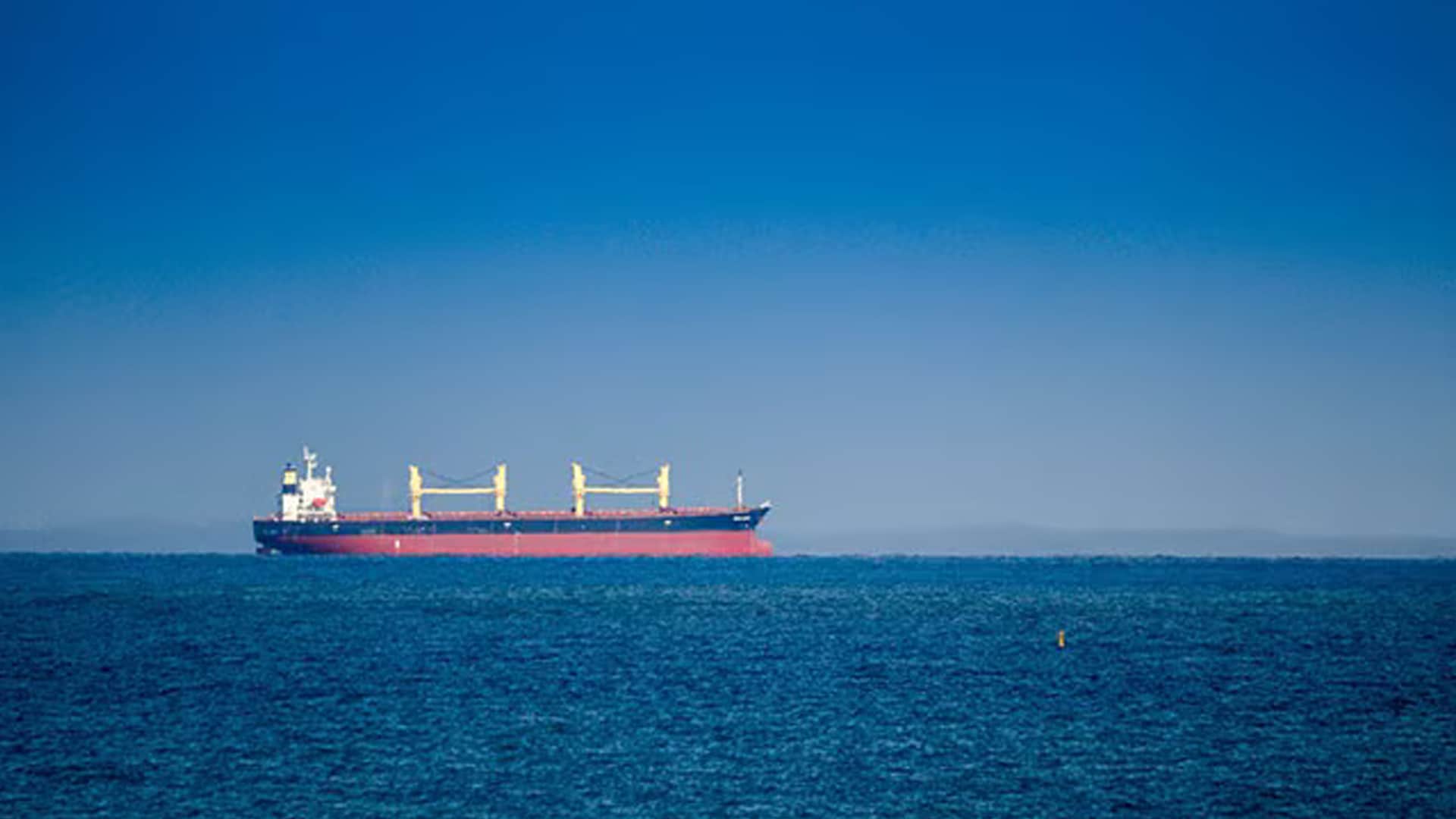 India-Flagged Ship Sinks After Attack In Red Sea, 13 Indian Sailors Rescued