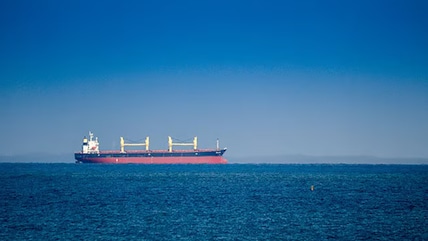India-Flagged Ship Sinks After Attack In Red Sea, 13 Indian Sailors Rescued