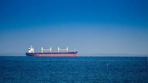 India-Flagged Ship Sinks After Attack In Red Sea, 13 Indian Sailors Rescued