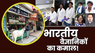 इस सुपरबग का हो सकता है खात्मा! गाय की आंत में भारतीय वैज्ञानिकों ने खोजा ये एंजाइम