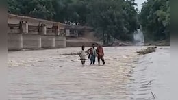 रीवा में बेलन नदी उफान पर, डीह पुल के ऊपर बह रहा पानी; 12 गांवों का संपर्क टूटा, प्रशासन अलर्ट