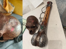 Monkey Skull Found In Passenger's Handbag At Delhi Airport