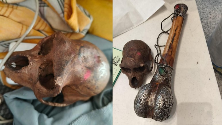 Monkey Skull Found In Passenger's Handbag At Delhi Airport
