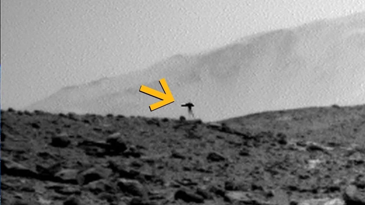 NASA के रोवर को मंगल पर दिखा जैली फिश जैसा जीव! फोटो ने खींचा ध्यान