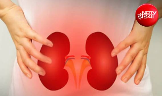 बार-बार UTI, किडनी स्टोन या हाई BP? युवाओं को नहीं टालनी चाहिए किडनी की जांच