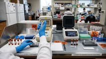H1N1 Cases Surge Further: How Is Swine Flu Different From COVID-19?