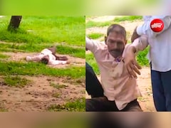 Video: नशे में धुत्त स्कूल ग्राउंड में ही सोनेवाला टीचर सस्पेंड, वीडियो वायरल होने के बाद हुआ एक्शन