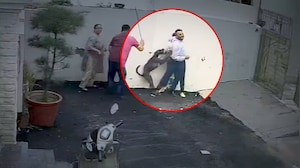 Pitbull Attacks Couple In Patiala, Woman Suffers Deep Injuries
