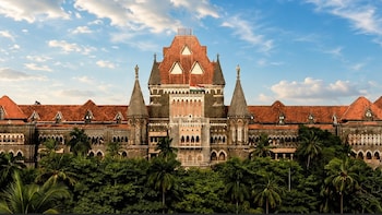 'Trying To Kill Mosquito With Sword': Bombay HC Pulls Up Maharashtra FDA In Amazon Case