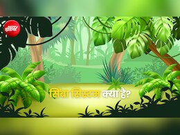 सिंबा सिस्टम क्या होता है? जानें इससे किस चीज की होती है गिनती