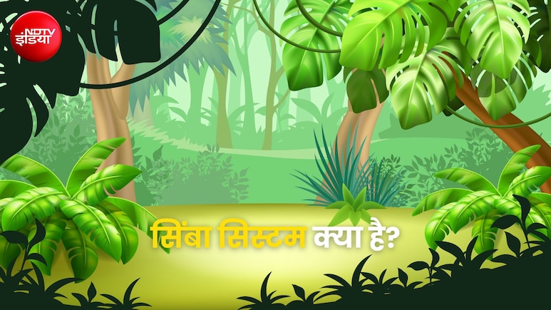 सिंबा सिस्टम क्या होता है? जानें इससे किस चीज की होती है गिनती
