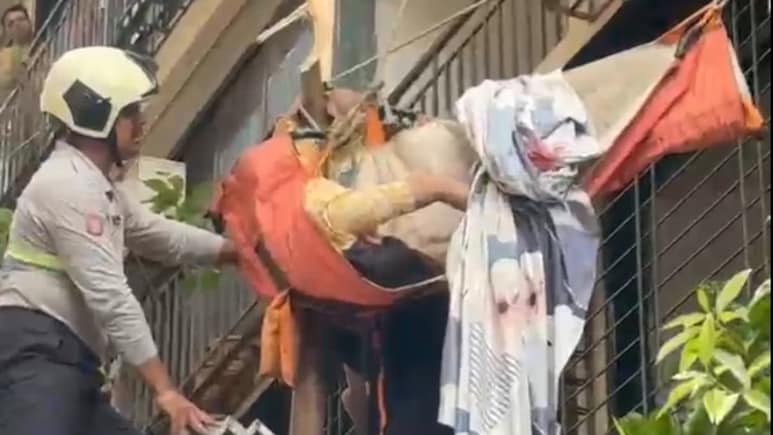 Mumbai Woman Falls From 10th Floor, Rescued After Getting Stuck In Tree Branches