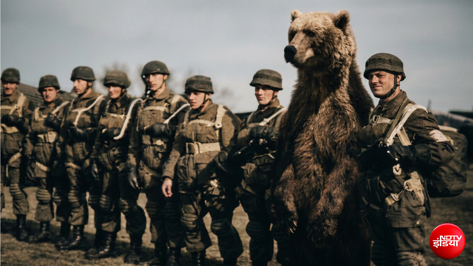True Story of Wojtek: The 550-lb Bear Who Drank Beer, Smoked, and Fought against nazi in WW2 True Story of Wojtek: The 550-lb Bear Who Drank Beer, Smoked, and Fought against nazi in WW2