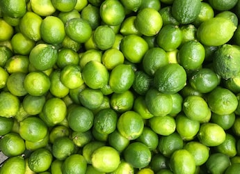 This Indian Town Is Known As The Land Of Lemons. Its Famous Citrus Dates Back More Than A Century