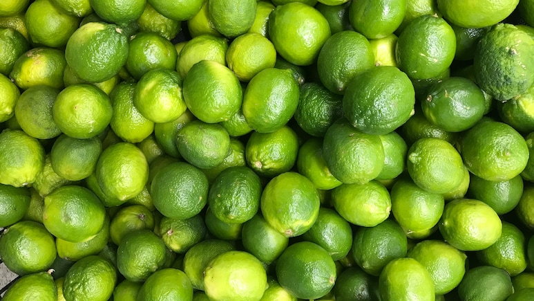 देश में सबसे ज्यादा नींबू कहां उगता है? इस शहर को कहते हैं Lemon Capital