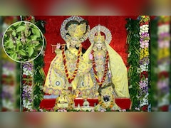 तुलसी के बिना अधूरी है श्रीकृष्ण जन्माष्टमी की पूजा, कृष्ण और तुलसी के बीच क्या संबंध है?