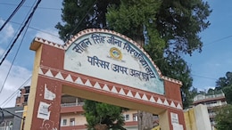 What Is India's National Bird? Uttarakhand University Answer Key Says Crow, Row Follows