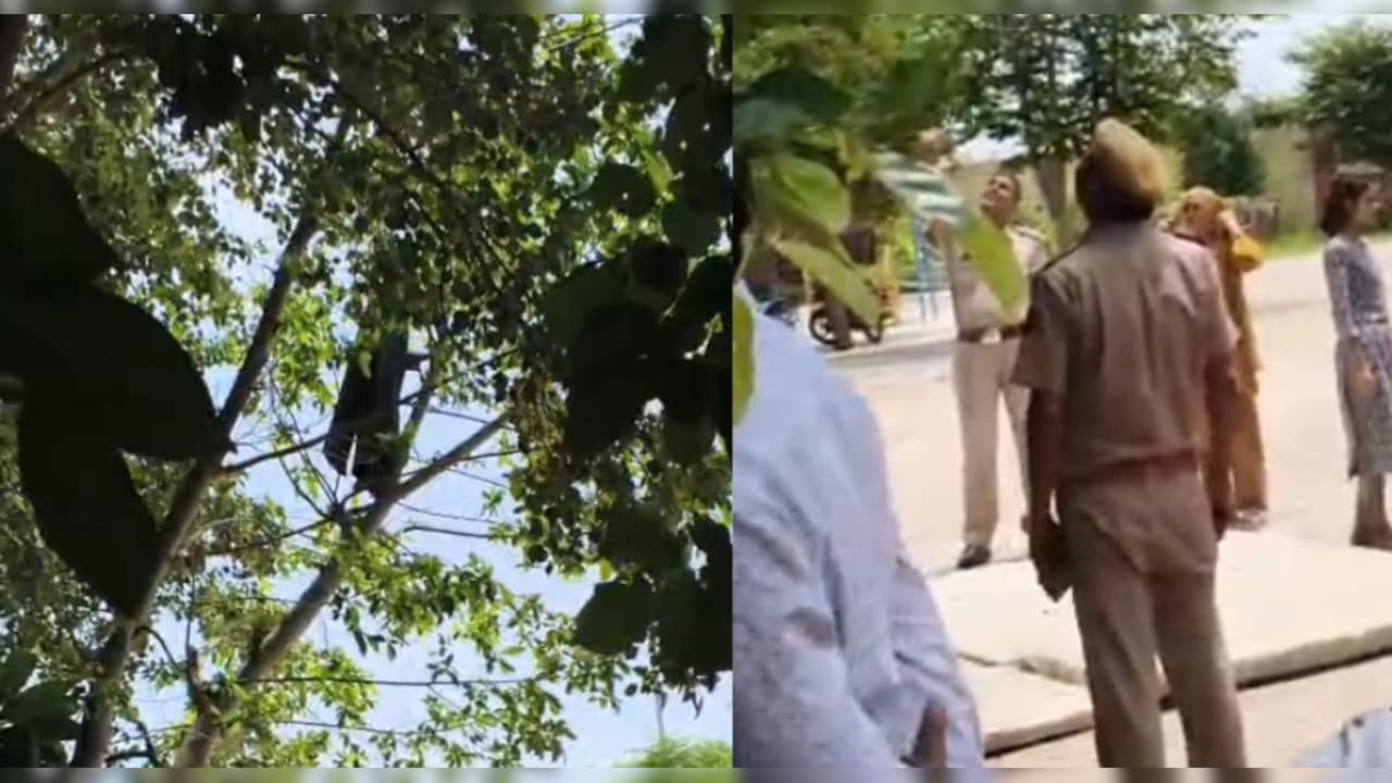 नाबालिग 30 मिनट तक चढ़ी रही पेड़ पर, पुलिस ने गद्दे बिछाकर किया रेस्क्यू