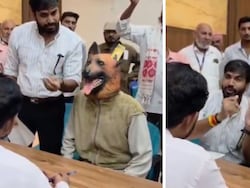 Dog Mask On, Man Claims Madhya Pradesh Sterilisation Drive All Bark, No Bite