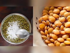 दाल में घुन लगने से कैसे रोकें? ये एक सस्ती चीज डालने से महीनों तक नहीं होगी खराब