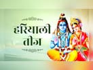हरियाली तीज पर शिव-पार्वती को क्या अर्पित करें? ज्योतिषाचार्य से जानें
