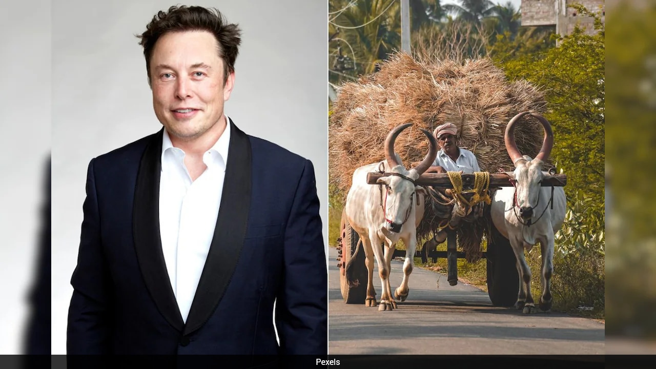 Why Elon Musk Thinks India Needs Starlink Despite 1 Billion Internet Subscriptions