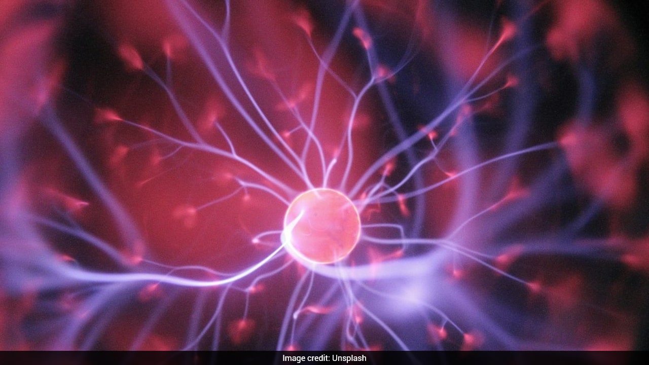 Lab-Grown Human Brains Grow For 7 Years, Set Longevity Record