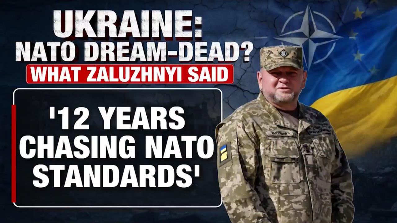 'Ukraine Will Never Join NATO': Ex-commander's Bombshell